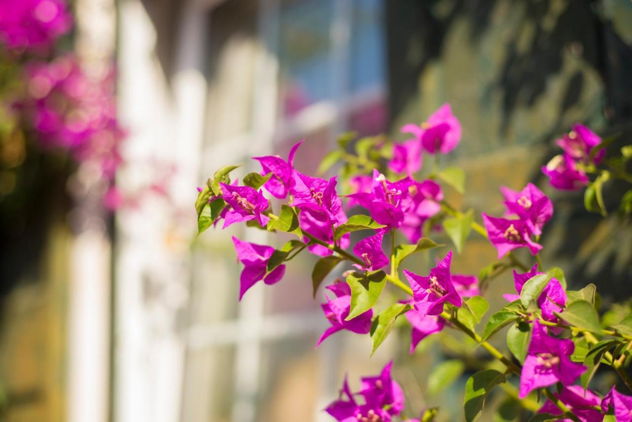 Hotel Rural Biniarroca - Adults Only Sant Lluis Ngoại thất bức ảnh