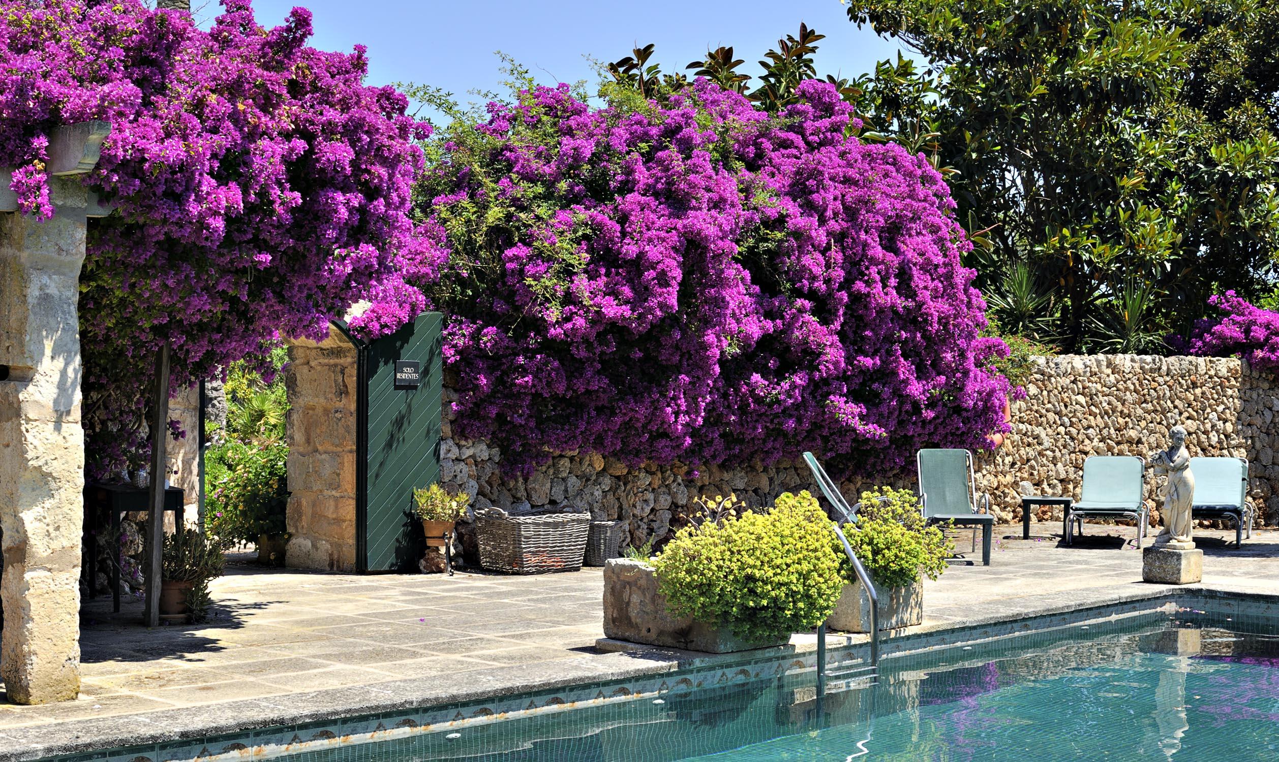 Hotel Rural Biniarroca - Adults Only Sant Lluis Ngoại thất bức ảnh